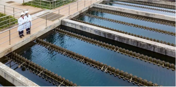 1617760329285888.png 1617760329285888.png